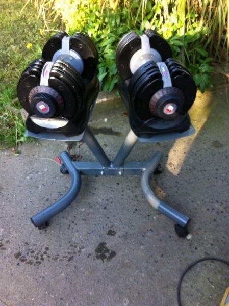 BODYMAX SELECTABELL ADJUSTABLE DUMBBELLS AND STAND