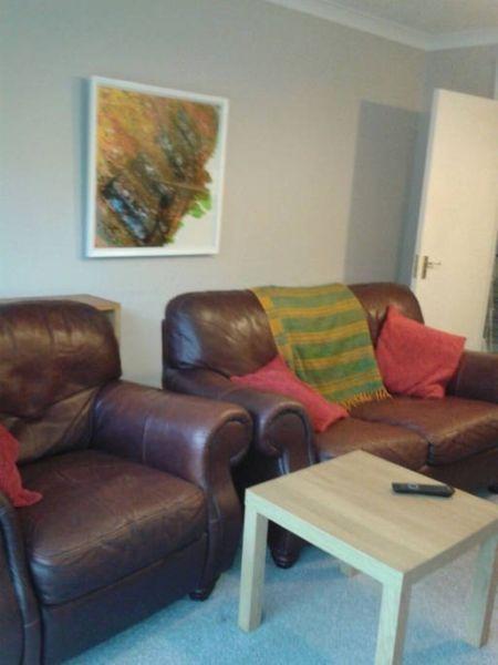 Two Seater Brown Leather Couch and Armchair Must Collect
