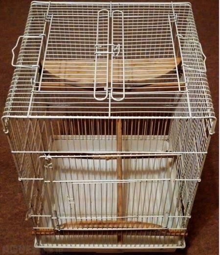 Large cage for bird