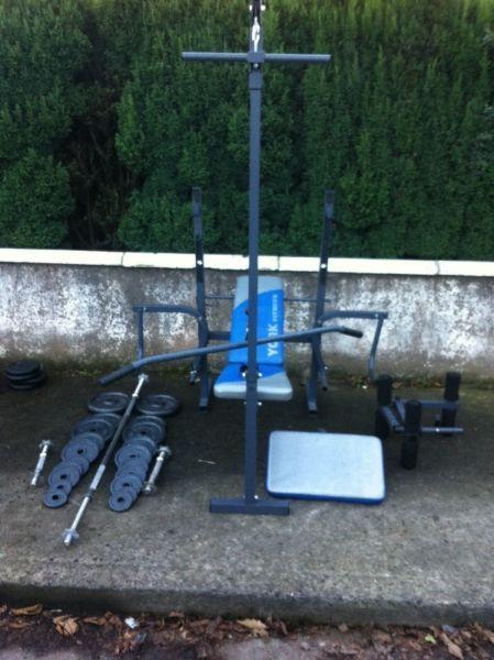 BENCH WORKOUT STATION,WITH CAST IRON WEIGHTS SET