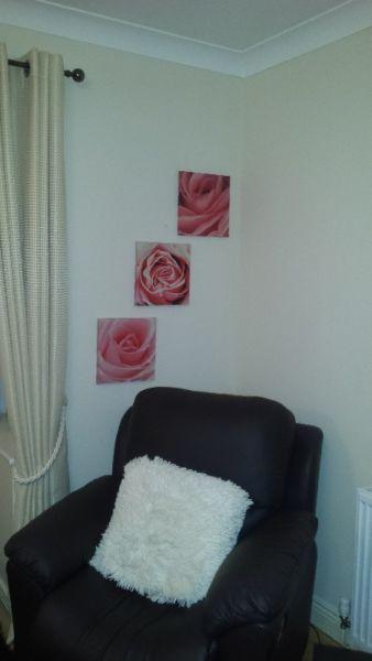 Rose Canvas Picture Set