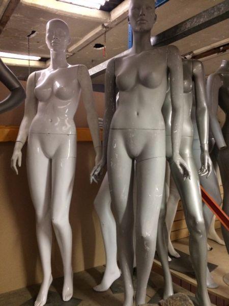 Female Mannequins with Heads