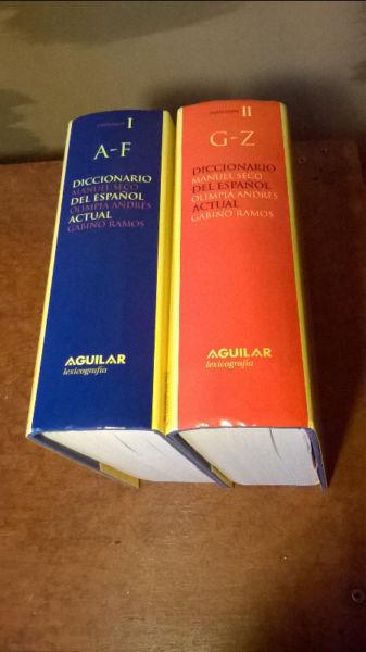 Dictionary of Spanish / Diccionario del español actual (2 volumes)