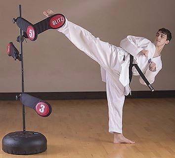 Martial art Multi Kick & Punch Target