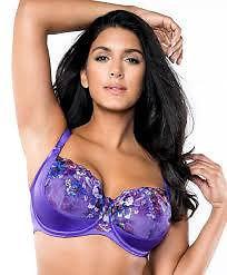 Love passion underwire bra