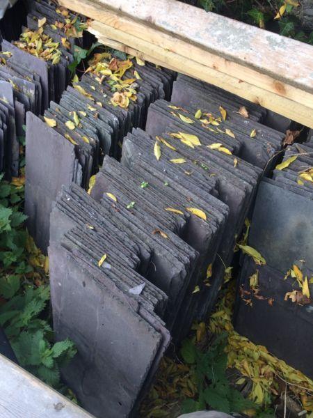 Roof slates 22 by 11 inch