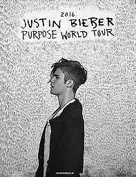 Justin Bieber Standing Ticket For Sale RDS 21/06/17