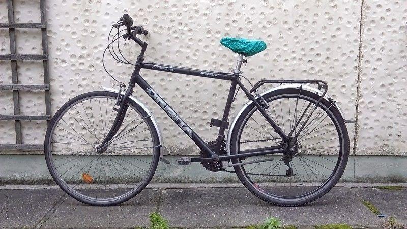 Bike for adult