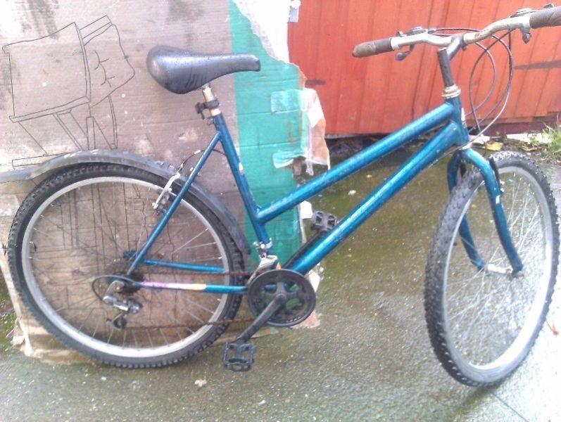 adult lady bike for sale