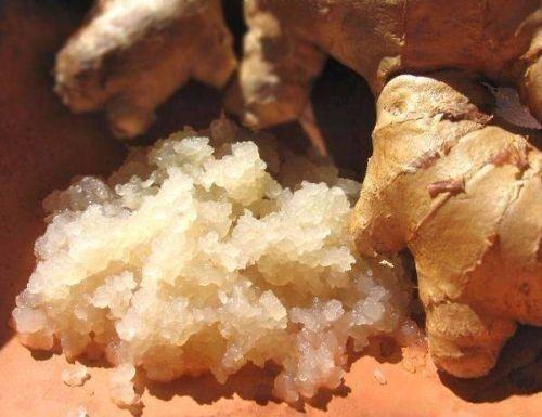 SALE! 76g of PURE GINGER BEER PLANT!. FREE POSTAGE!!!!
