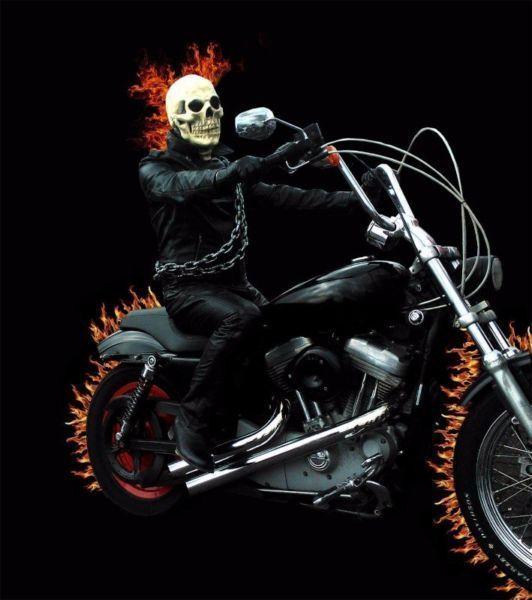 Ghost Rider Costume for sale