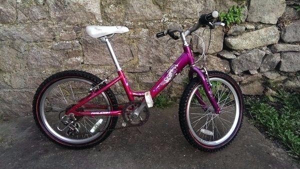 Childs bike Raleigh (fits 5 - 9 year old)