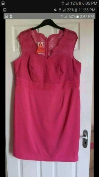 Pink Dress Plus size