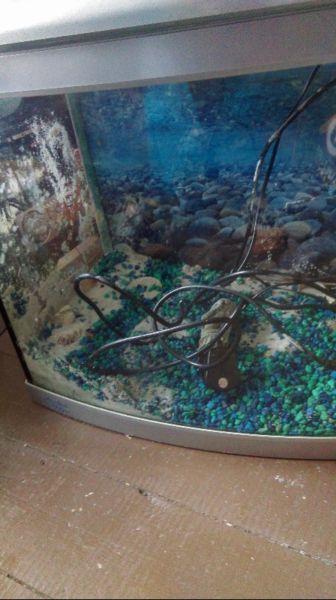 54 litre fish tank