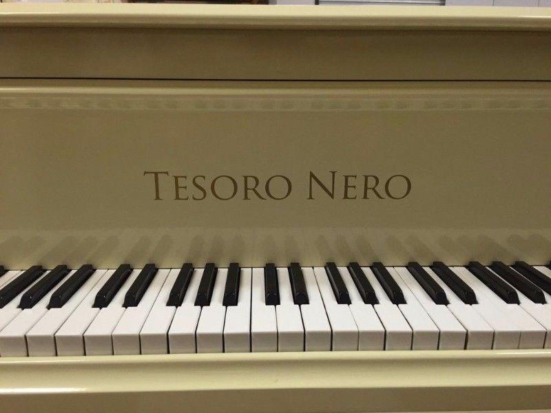 COLOURFUL BABY GRAND PIANOS - Tesoro Nero