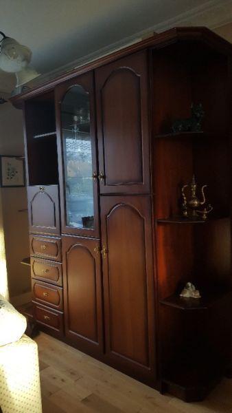 Mahogany cabinet with hanging compartment & drinks unit