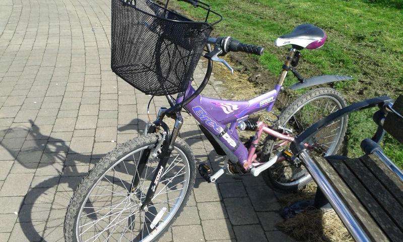 Bike with basket 85