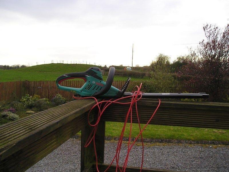 Folding Ladder and Electric Hedge Trimmer