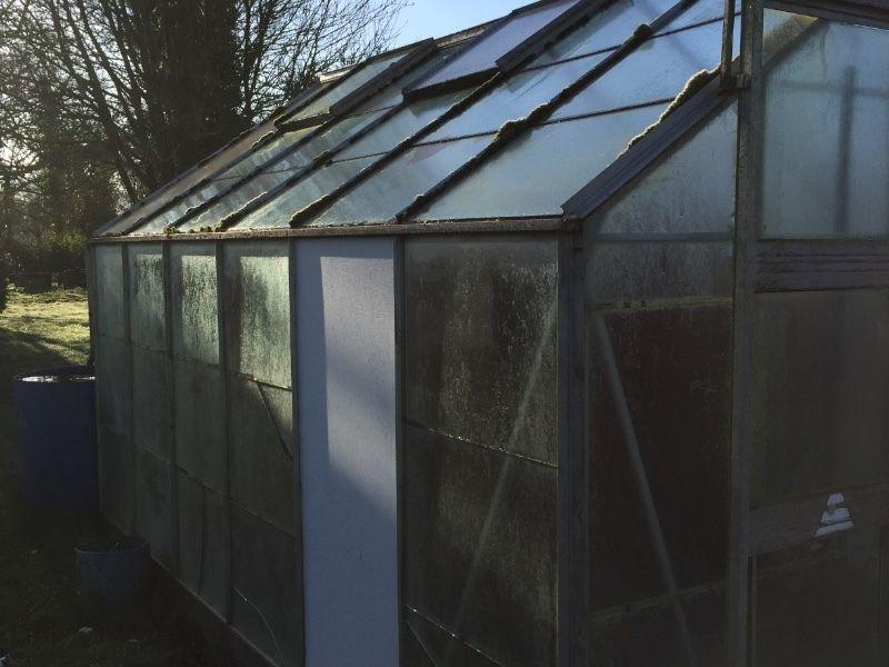 Greenhouse/ glasshouse