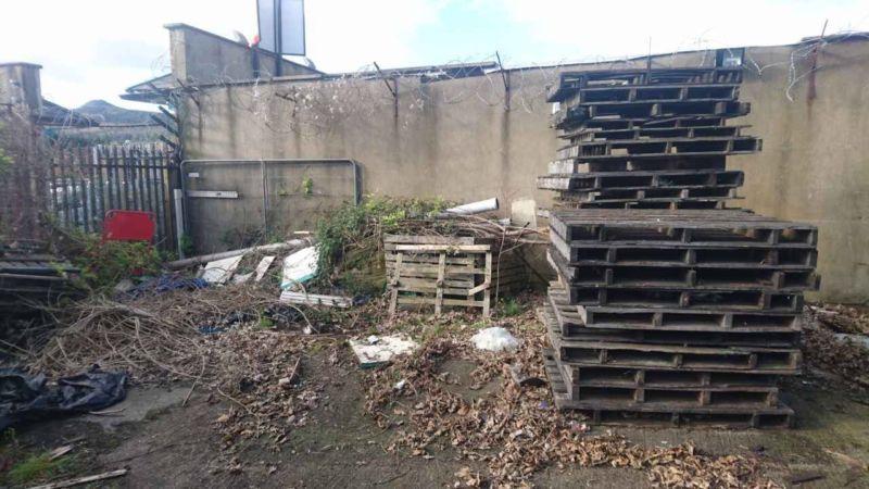 FREE pallets over 60 available