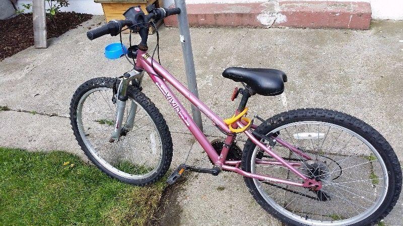 girls bike for sale pink and silver 24 inch wheels