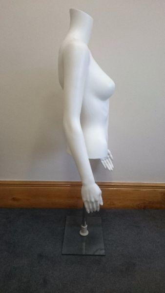 Matt White Female Headless Torso with Arms