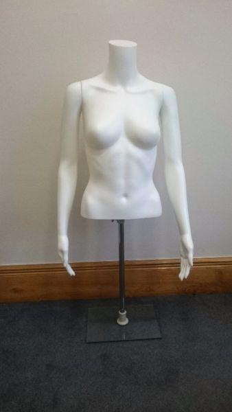 Matt White Female Headless Torso with Arms