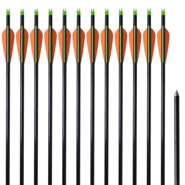 Arrows & Bolts:Standard Compound Bow Arrows 30