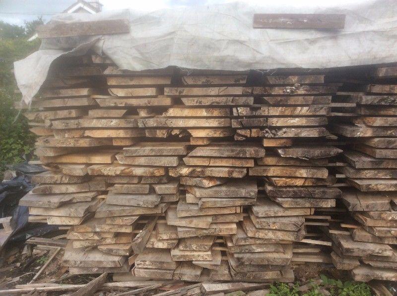 Irish Beech Timbers