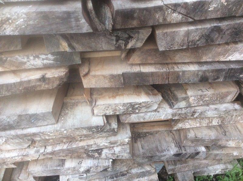 Irish Beech Timbers for sale
