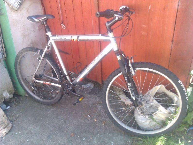 adult bike for sale