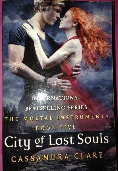 The Mortal Instruments Book Series