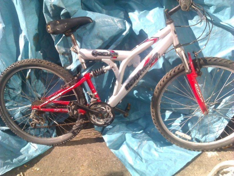 adult bike for sale