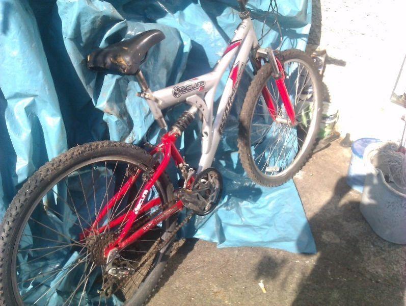 adult bike for sale