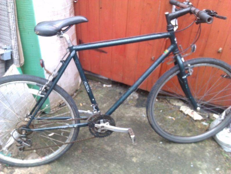 adult bike for sale