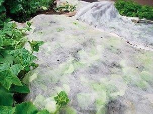 Fleece Frost Plant Protection Weed Pest Control Garden Insulation Membrane 1.6m wide