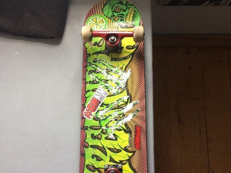 Skateboard Complete