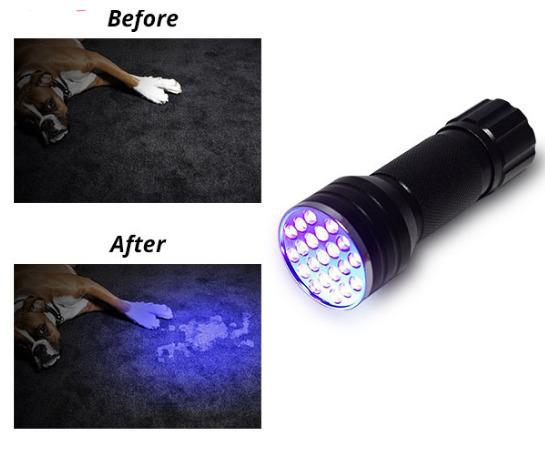 21 LEDs mini UV Ultra Violet Flashlight Blacklight