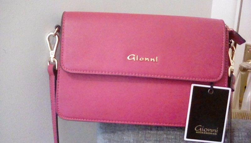 Gionni Designer handbag, brand new 50 euro