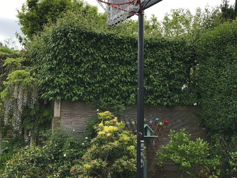 Basketball ring and stand 10ft
