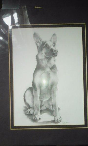 PENCIL DRAWING FOR SALE