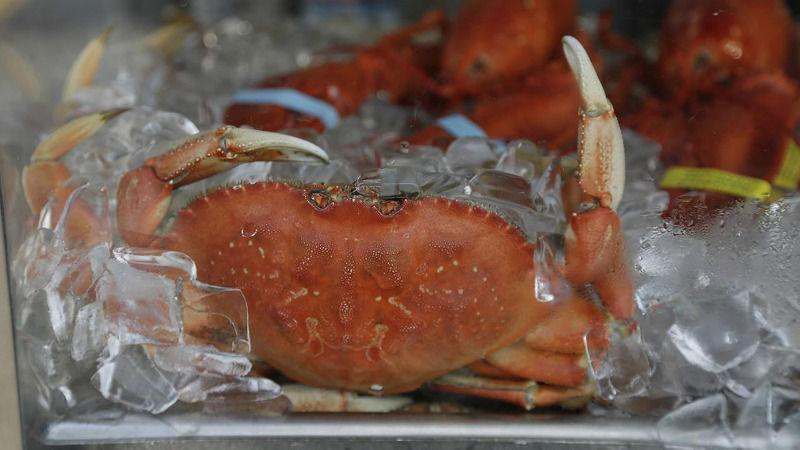 Quality Brown Crab For Sale in