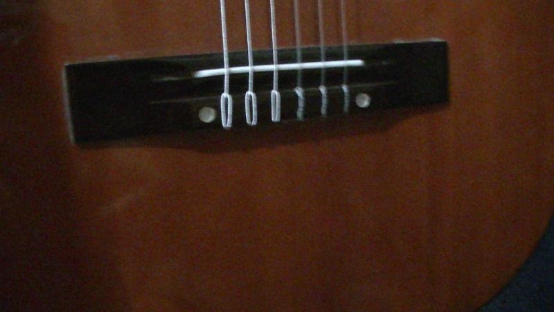 Angelica 2851 Classical Guitar