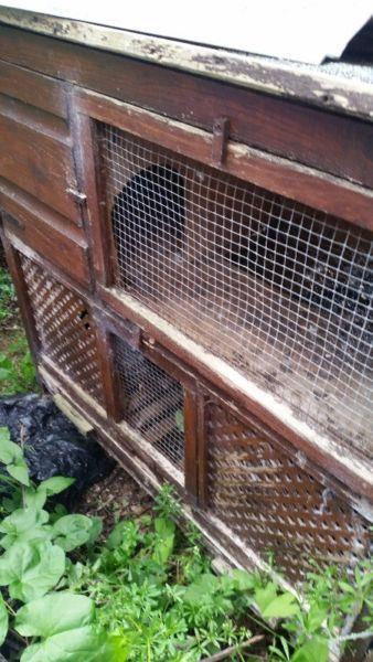 Free rabbit cage