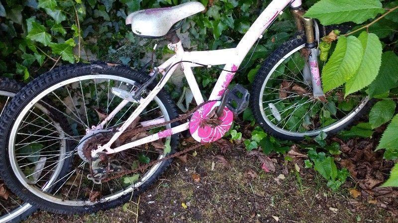 Girl's bicycle for sale