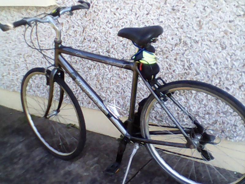Adult bicycle for sale