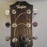 Lovely semi-acoustic Taylor 110e for sale