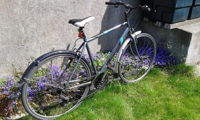 Adult bike in very good condition