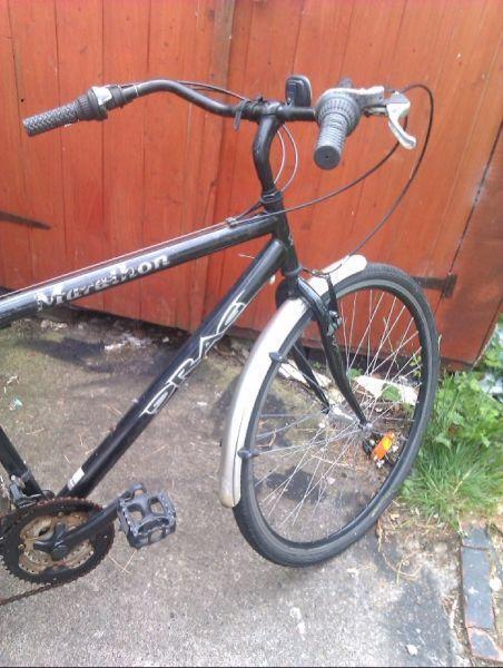 adult bike for sale