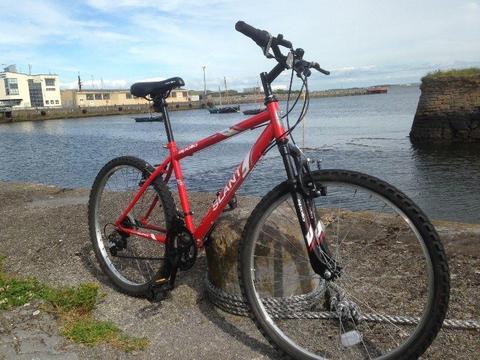 MOUNTAIN BIKE** URGENT selling TODAY